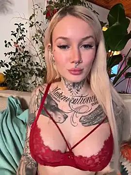 Snapshot of Stella-Kink chatting on February 12, 2025, 4:11 pm Stella-Kink online show from February 12, 2025, 4:11 pm