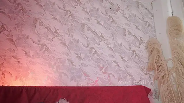 roselinedior online show from November 18, 2025, 12:53 pm