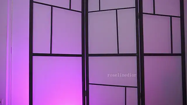 roselinedior online show from February 27, 2026, 7:36 pm