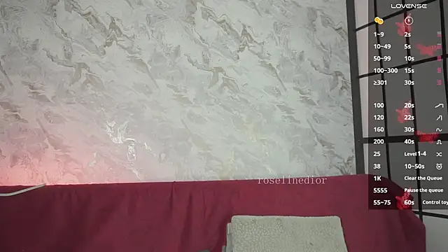 Snapshot of roselinedior chatting on March 27, 2026, 3:12 pm roselinedior online show from March 27, 2026, 3:12 pm