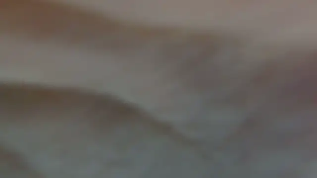 White daisy online show from March 14, 2025, 11:23 am