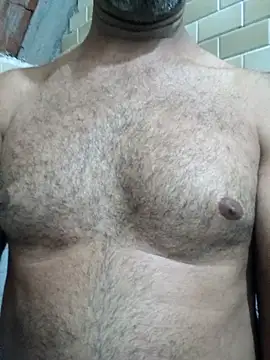 Sergipano fogozinho online show from November 12, 2025, 3:07 am