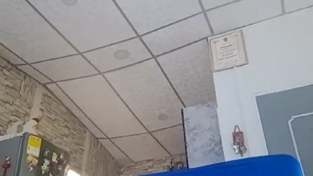 Lilly macflyy online show from February 21, 2026, 3:57 pm