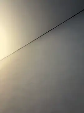 ellie ssexy online show from January 13, 2026, 5:24 am