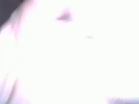 BobbyQ29 online show from April 25, 2026, 12:24 am