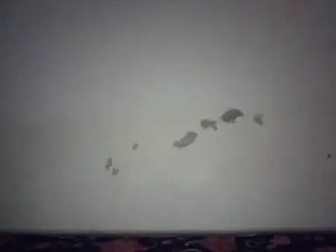 pritty-leila online show from January 2, 2025, 2:46 pm