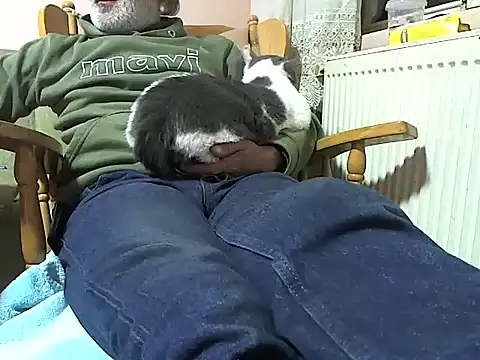 Snapshot of zormen355 chatting on November 13, 2025, 6:29 pm zormen355 online show from November 13, 2025, 6:29 pm