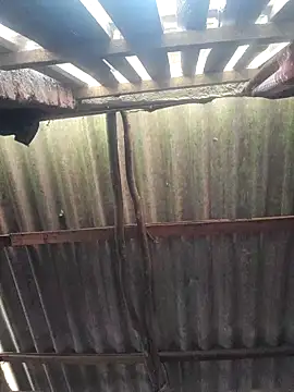 Snapshot of HotSexyBoudi chatting on October 17, 2025, 10:07 am HotSexyBoudi online show from October 17, 2025, 10:07 am