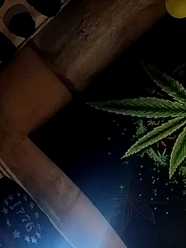 Snapshot of ySqmbVanbe chatting on October 17, 2025, 2:41 pm ySqmbVanbe online show from October 17, 2025, 2:41 pm