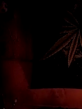 ySqmbVanbe online show from February 6, 2026, 8:29 am