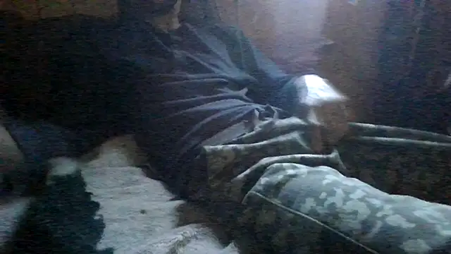 Snapshot of ySqmbVanbe chatting on March 3, 2026, 3:51 pm ySqmbVanbe online show from March 3, 2026, 3:51 pm