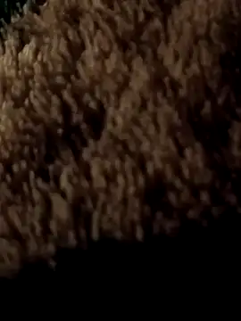 Snapshot of ySqmbVanbe chatting on March 7, 2026, 1:57 am ySqmbVanbe online show from March 7, 2026, 1:57 am