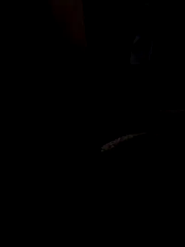 Snapshot of ySqmbVanbe chatting on March 13, 2026, 8:43 am ySqmbVanbe online show from March 13, 2026, 8:43 am