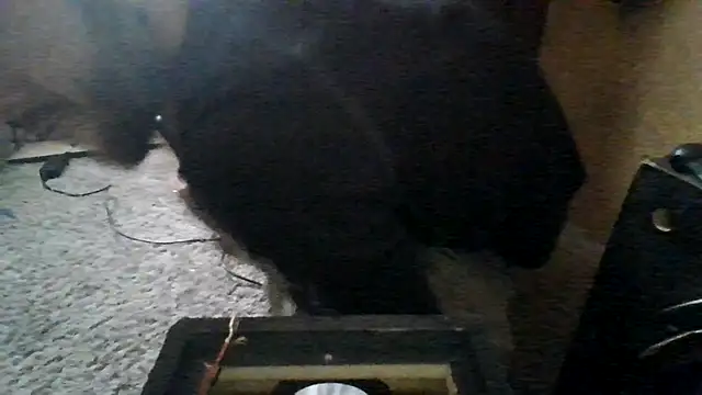 Snapshot of ySqmbVanbe chatting on March 15, 2026, 5:52 pm ySqmbVanbe online show from March 15, 2026, 5:52 pm