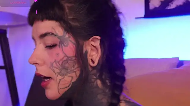 SylveonFox online show from September 23, 2025, 11:13 am