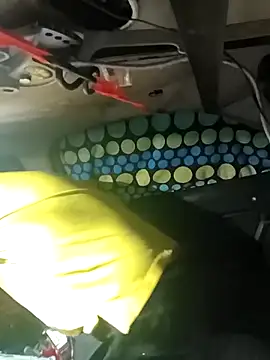 Snapshot of FloppyPickle4u chatting on March 6, 2026, 3:36 am FloppyPickle4u online show from March 6, 2026, 3:36 am