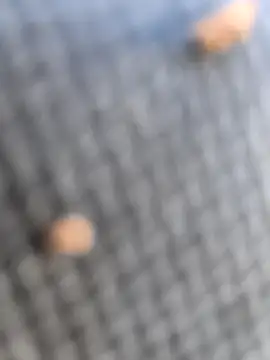 Snapshot of FloppyPickle4u chatting on March 7, 2026, 2:36 pm FloppyPickle4u online show from March 7, 2026, 2:36 pm