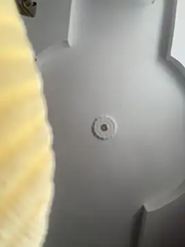 emiss  online show from October 8, 2025, 2:14 pm