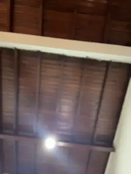 emiss  online show from December 2, 2025, 3:51 pm