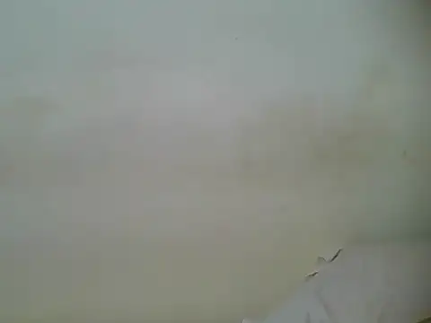 HotJeylee online show from February 28, 2025, 1:25 pm