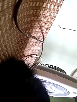 idocudai online show from April 3, 2026, 5:27 am