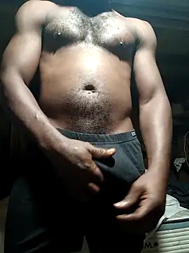 Snapshot of hibigboy337 chatting on February 17, 2026, 5:15 am hibigboy337 online show from February 17, 2026, 5:15 am