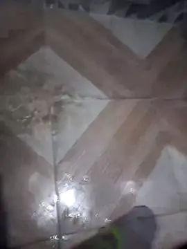 putosafado669 online show from December 22, 2025, 1:19 pm