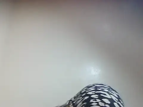 Snapshot of Creamy_candy17 chatting on October 3, 2025, 1:41 pm Creamy candy17 online show from October 3, 2025, 1:41 pm