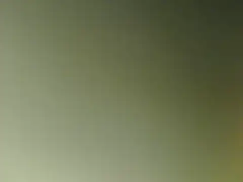 Snapshot of lovense_test04 chatting on March 11, 2025, 9:56 am lovense test04 online show from March 11, 2025, 9:56 am