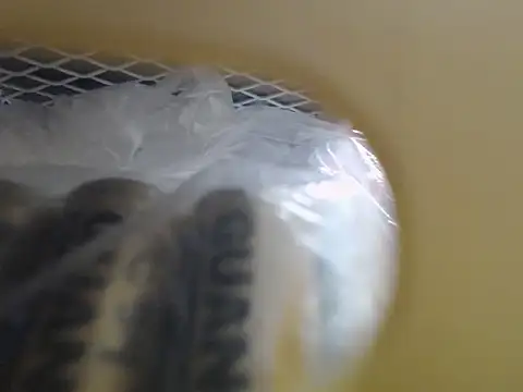 Snapshot of lovense_test04 chatting on October 16, 2025, 3:51 am lovense test04 online show from October 16, 2025, 3:51 am