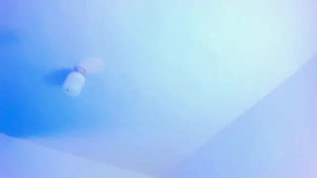 Snapshot of Emily_Gil1 chatting on January 21, 2025, 10:19 pm Emily Gil1 online show from January 21, 2025, 10:19 pm