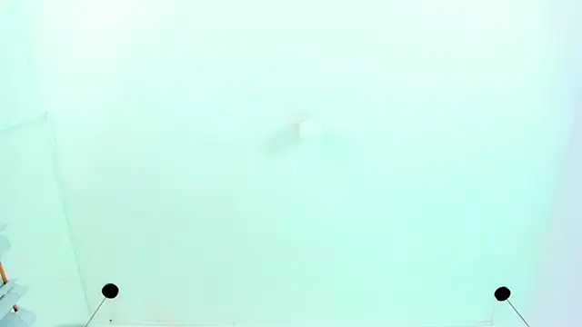 Snapshot of Emily_Gil1 chatting on January 30, 2025, 1:53 pm Emily Gil1 online show from January 30, 2025, 1:53 pm