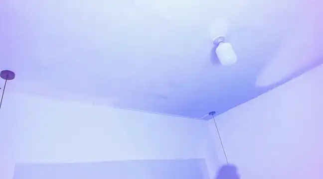 Snapshot of Emily_Gil1 chatting on March 19, 2025, 8:00 pm Emily Gil1 online show from March 19, 2025, 8:00 pm