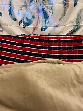 Snapshot of A6229 chatting on January 11, 2025, 2:36 pm A6229 online show from January 11, 2025, 2:36 pm