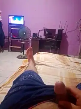 Animal nocturno online show from February 6, 2026, 5:56 am