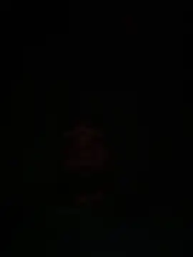 skyandbigdick online show from June 28, 2026, 1:11 am