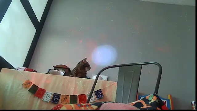 SexWorkerX online show from February 24, 2026, 6:50 pm