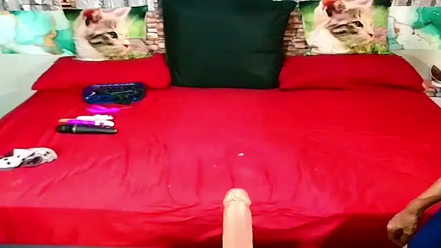 Indian Blaze00 online show from January 31, 2026, 7:11 pm