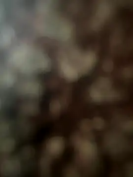 Snapshot of FrutenFratenR9 chatting on November 11, 2025, 11:21 am FrutenFratenR9 online show from November 11, 2025, 11:21 am