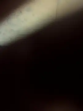 Angeloggaa online show from December 18, 2024, 12:40 pm