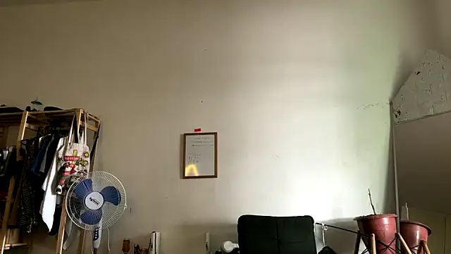 Snapshot of gerson173Hugo chatting on February 25, 2026, 2:37 pm gerson173Hugo online show from February 25, 2026, 2:37 pm