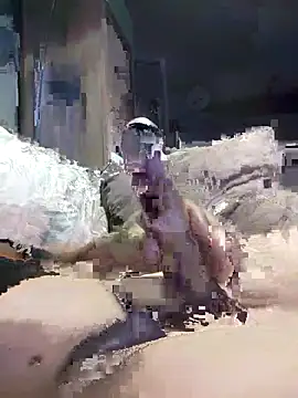 Bi-Sunny online show from November 17, 2025, 2:39 am