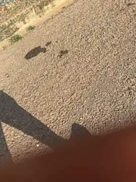 Snapshot of Black-mamba-madingo chatting on September 30, 2025, 3:39 pm Black-mamba-madingo online show from September 30, 2025, 3:39 pm