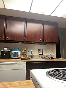 Snapshot of DhaTruth chatting on March 12, 2025, 3:29 pm DhaTruth online show from March 12, 2025, 3:29 pm