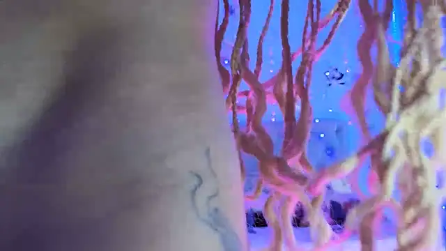 gabbiefoxthx online show from February 1, 2025, 11:58 pm