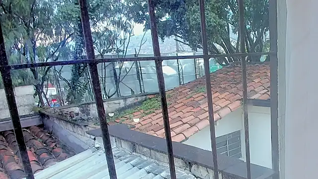 barbara cambels online show from September 27, 2025, 8:25 pm