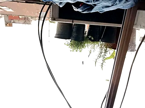 Snapshot of puak6666 chatting on September 29, 2025, 8:02 pm puak6666 online show from September 29, 2025, 8:02 pm