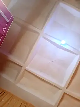 Pussy-eater254 online show from December 14, 2024, 6:52 pm