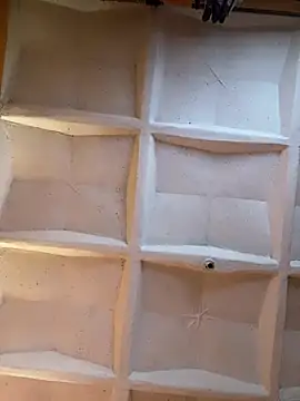 Pussy-eater254 online show from December 17, 2024, 12:00 pm