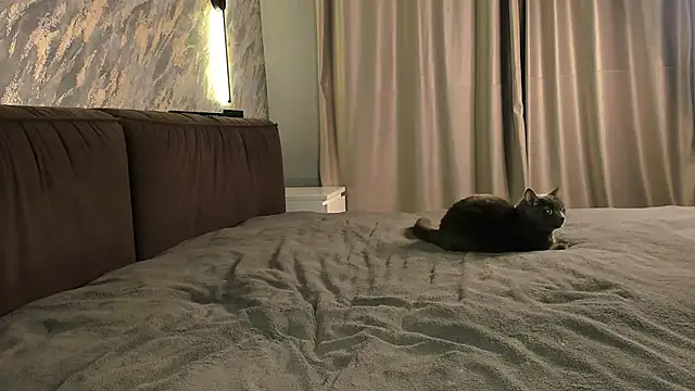 Snapshot of laflamebella chatting on September 28, 2025, 5:07 pm laflamebella online show from September 28, 2025, 5:07 pm